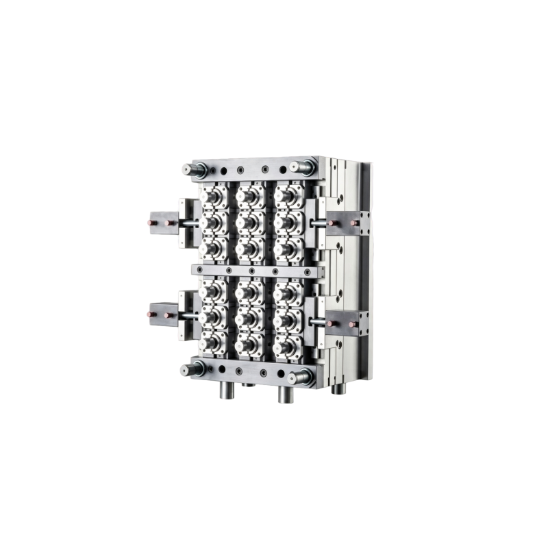 Beverage Bottle Cap Injection Mould